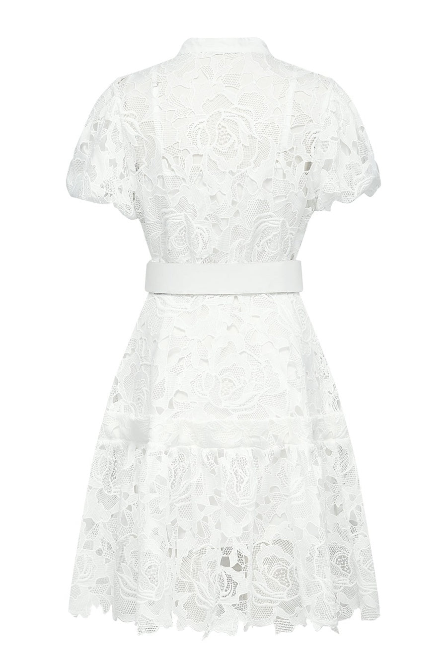 Calista Lace-embroidered Belted Mini Dress