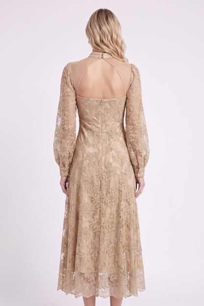Beige Floral Lace A-Line Midi Dress beige, champagne floral lace dress - product view 3