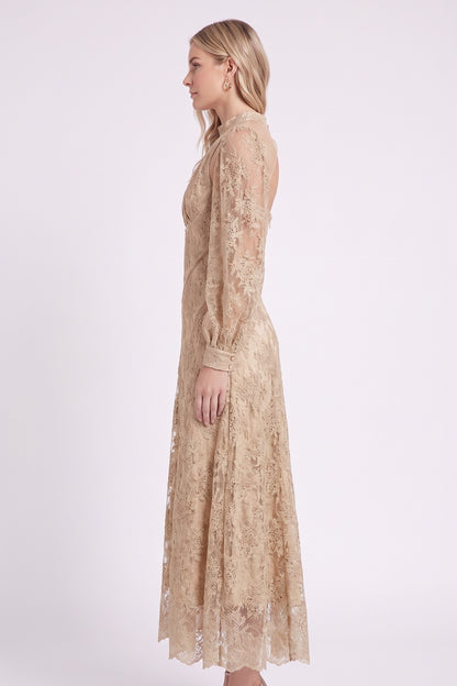 Beige Floral Lace A-Line Midi Dress beige, champagne floral lace dress - product view 5