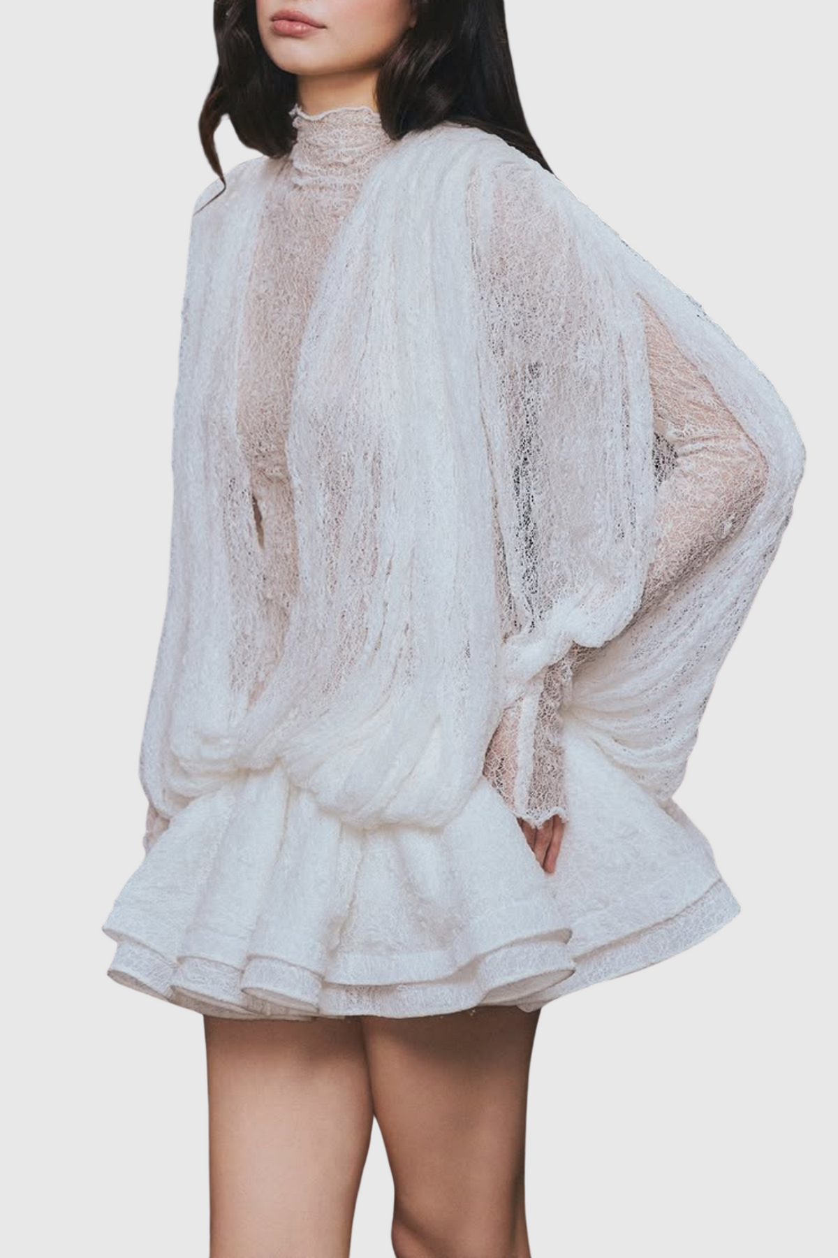 Chaylee Semi-sheer Lace Ruffle Mini Dress
