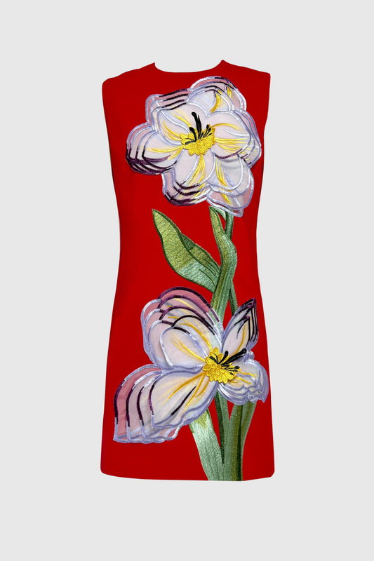 Mimoza Floral Appliqué Sleeveless Mini Dress - Red