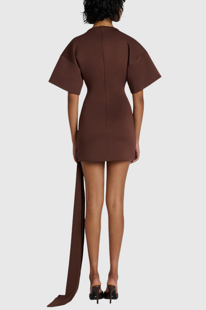 Natalja Draped Embellished Mini Dress - Brown