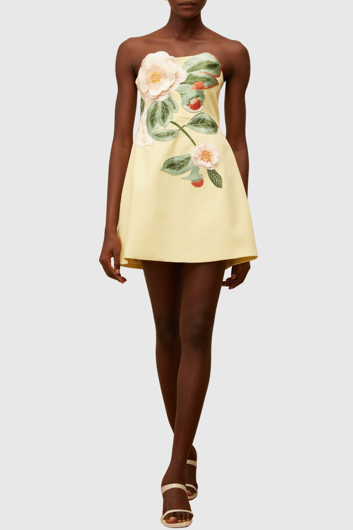 Obelia Strapless Floral Embroidered Mini Dress