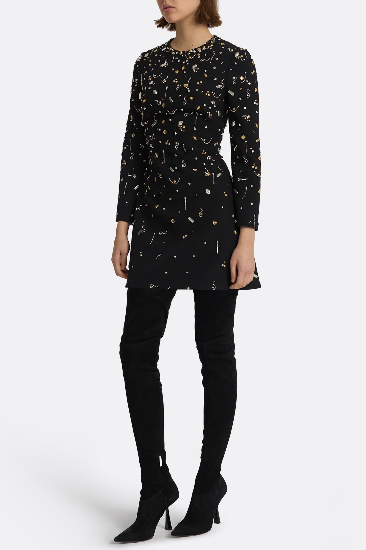 Pamaria Diamante Embroidery Mini Dress