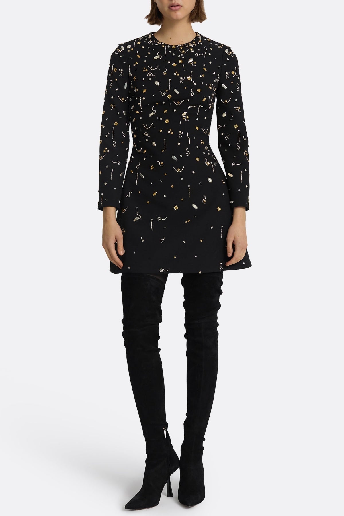 Pamaria Diamante Embroidery Mini Dress