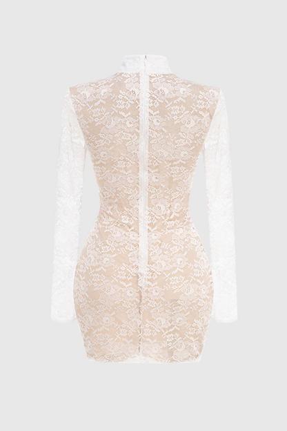 Seaba Lace Corset Mini Dress