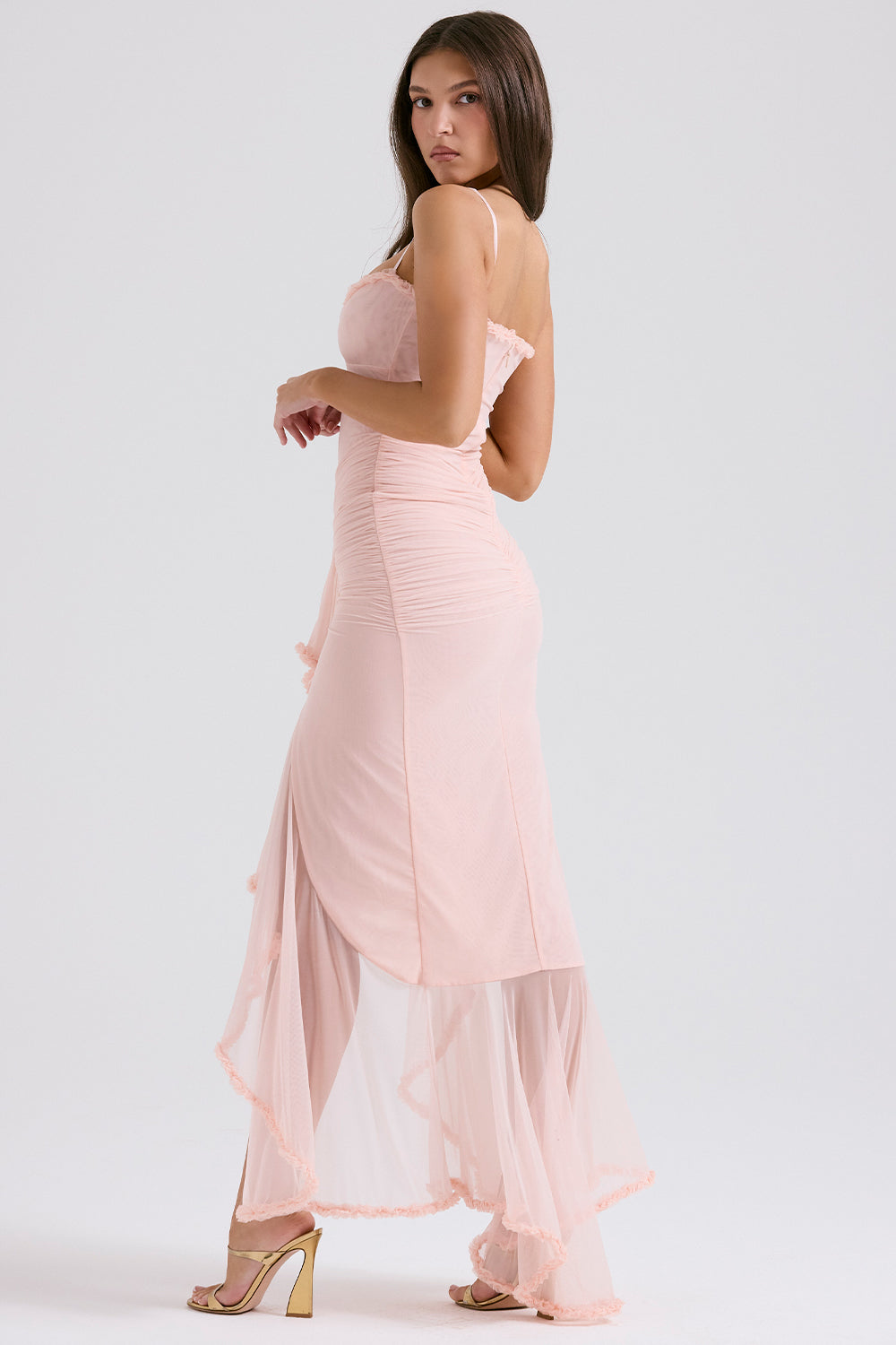 Taylor Ruffled Mesh Maxi Dress - Pink